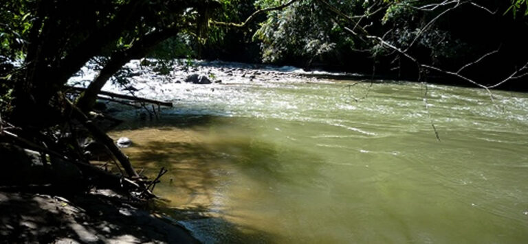 archivo_fotgrafico_del_parque_s05