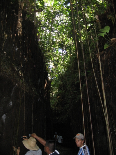 cuevas_las_dalias