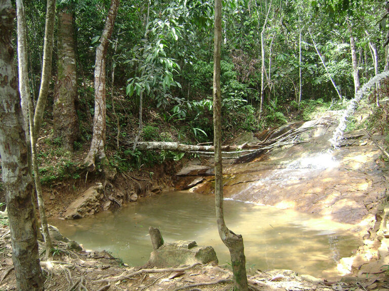 ecoparque-las-lajas