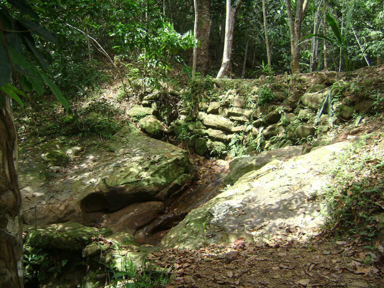 ecoparque-las-lajas1