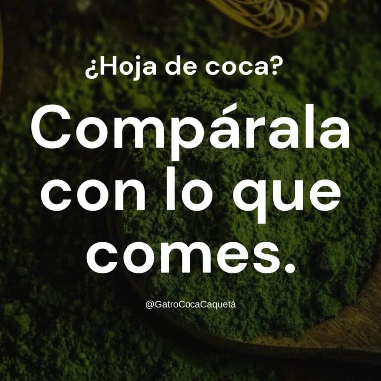 Festival Gastronomico de la Coca