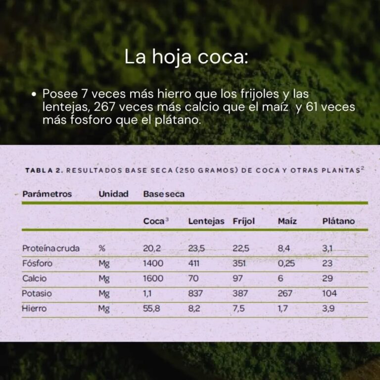 Festival Gastronomico de la Coca