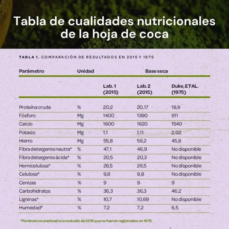 Festival Gastronomico de la Coca