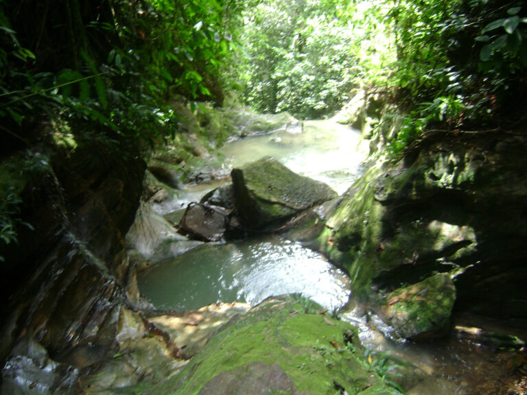 la-resaca
