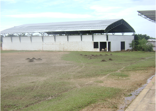 coliseo_cubierto_curillo