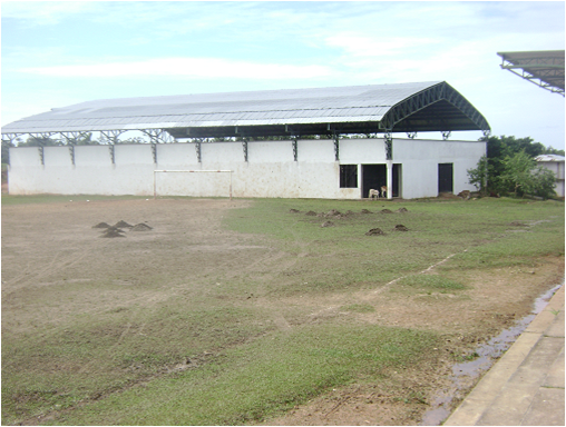 coliseo_cubierto_curillo