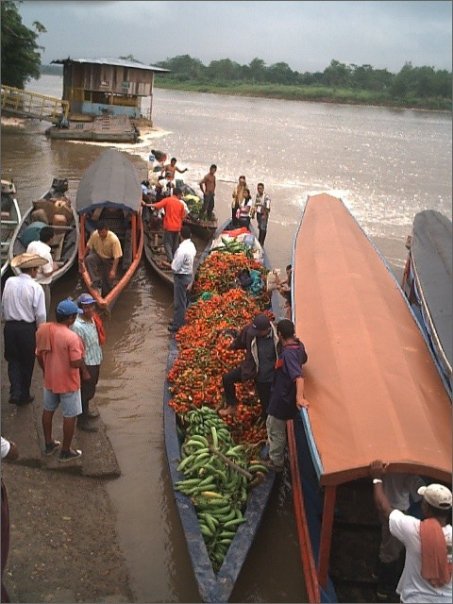 muelle_fluvial_1