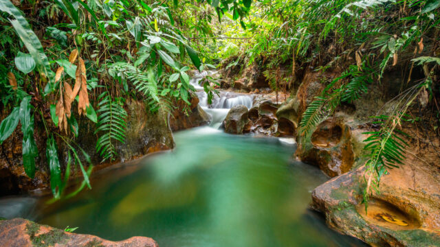 paraiso-de-pedro-3