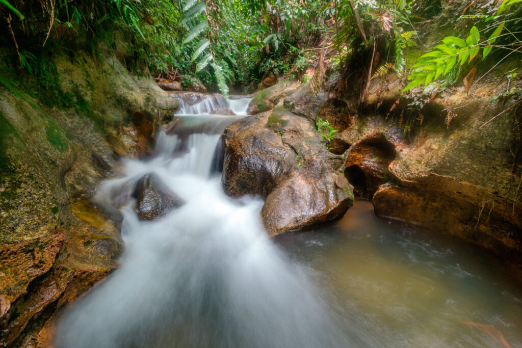 paraiso-de-pedro-4